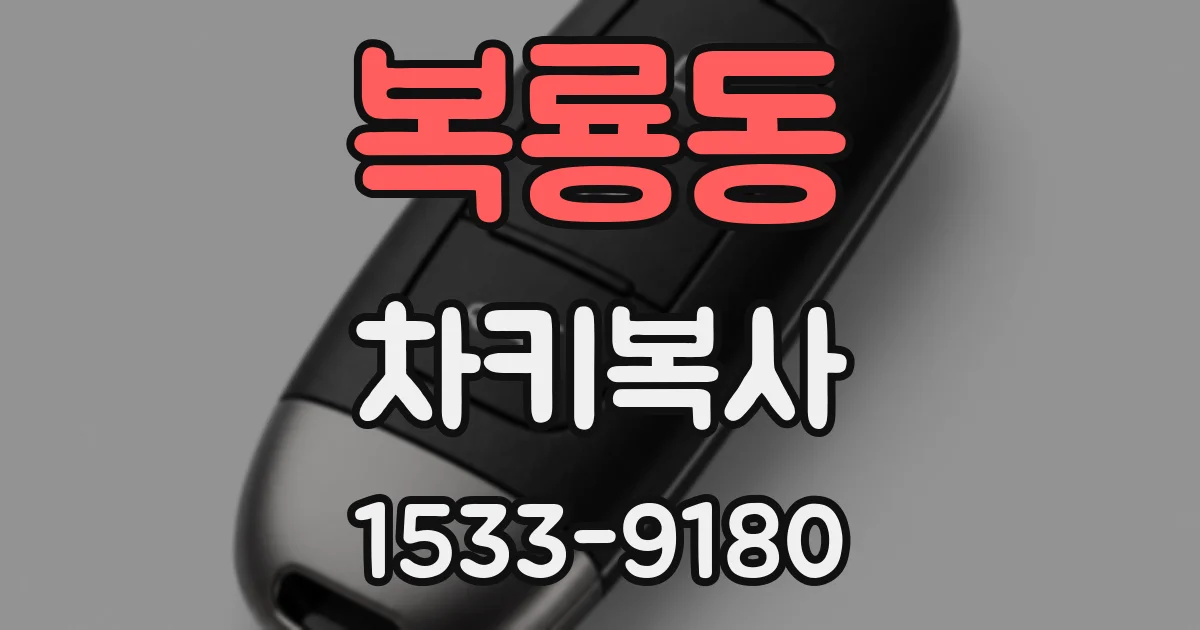 복룡동 차키복사