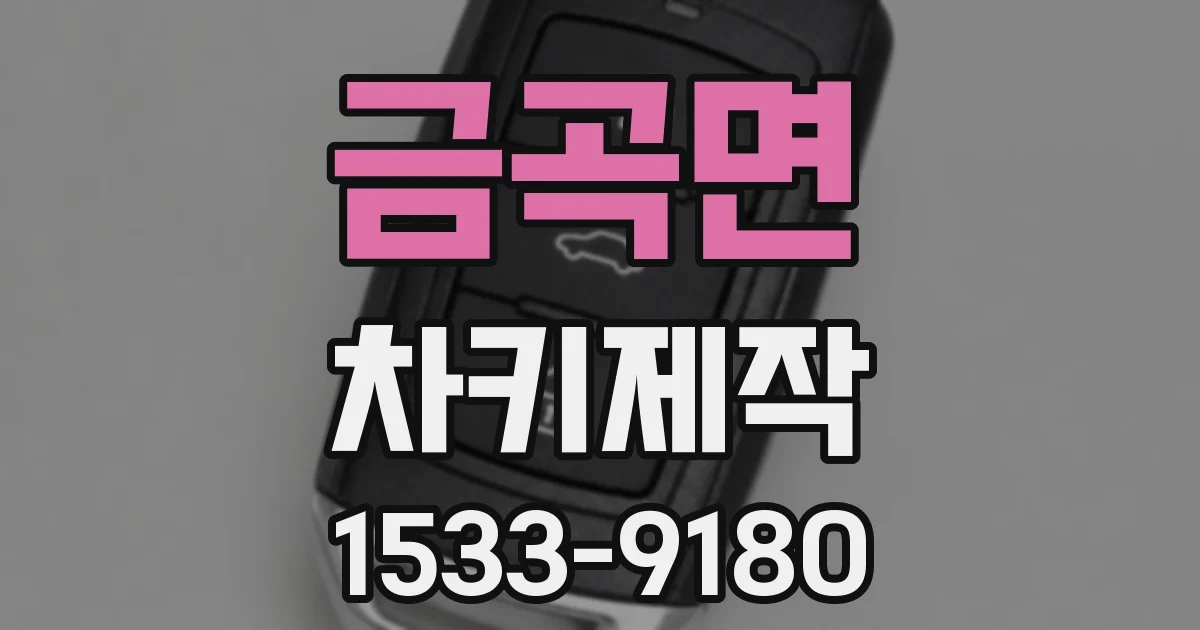 금곡면 차키제작