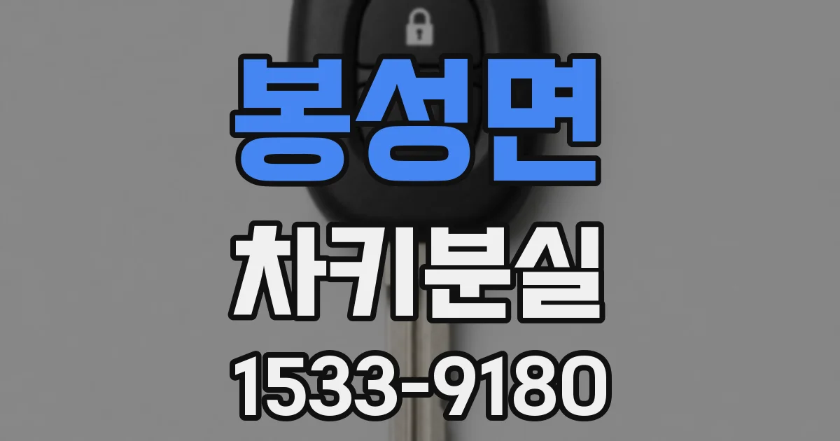 봉성면 차키분실