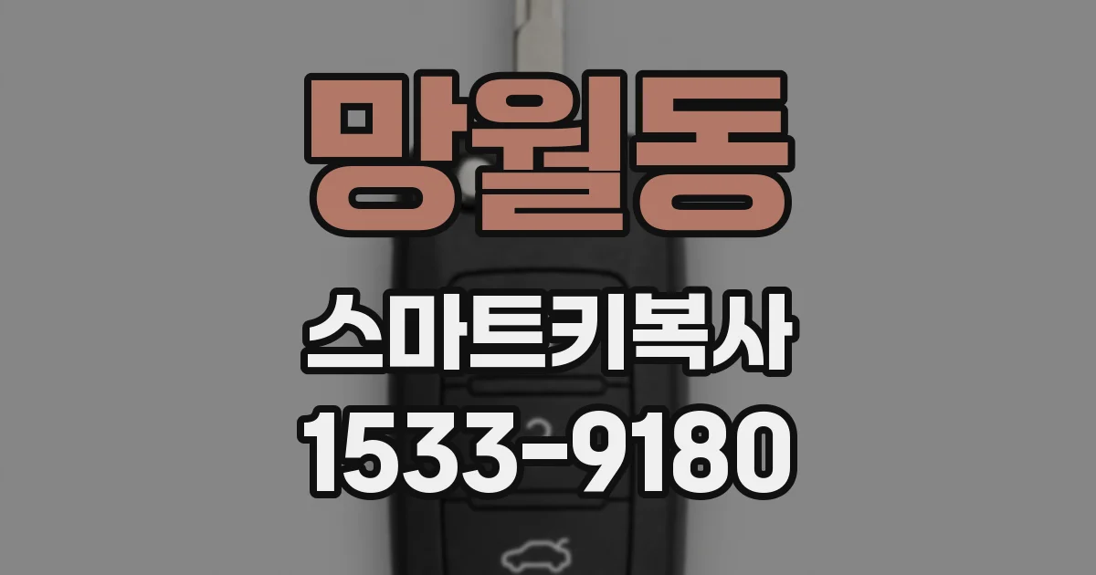 망월동 스마트키복사
