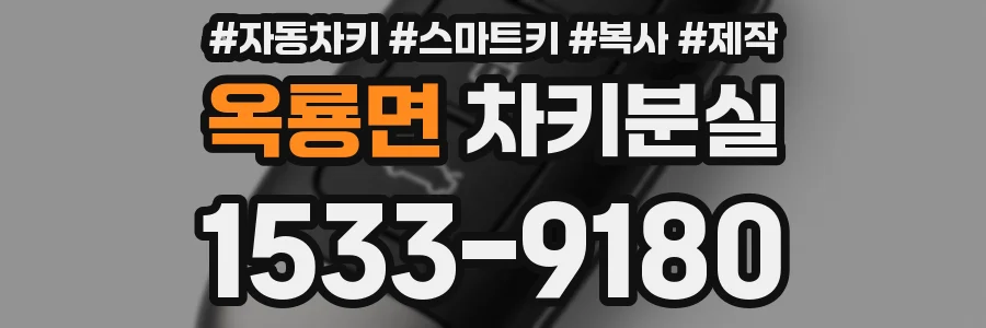 옥룡면 차키분실