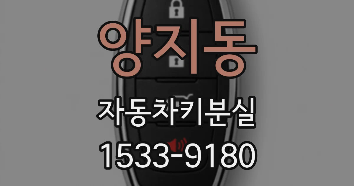 양지동 자동차키분실