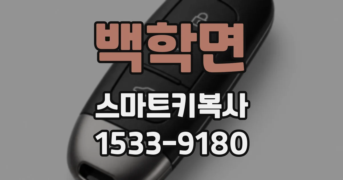 백학면 스마트키복사
