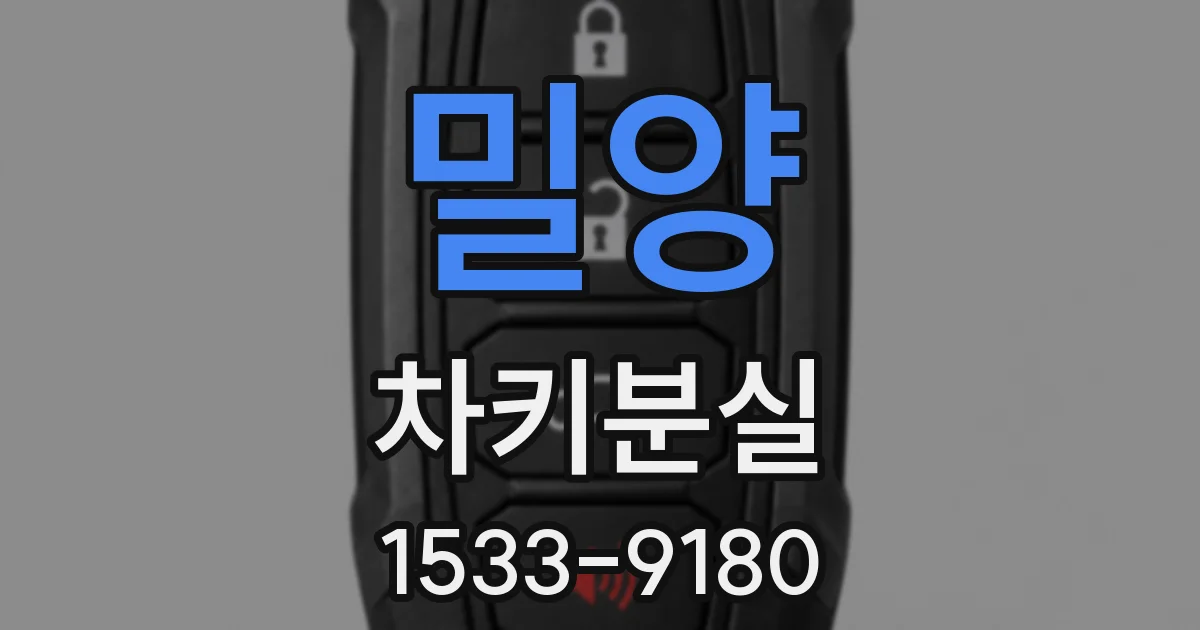 밀양 차키분실