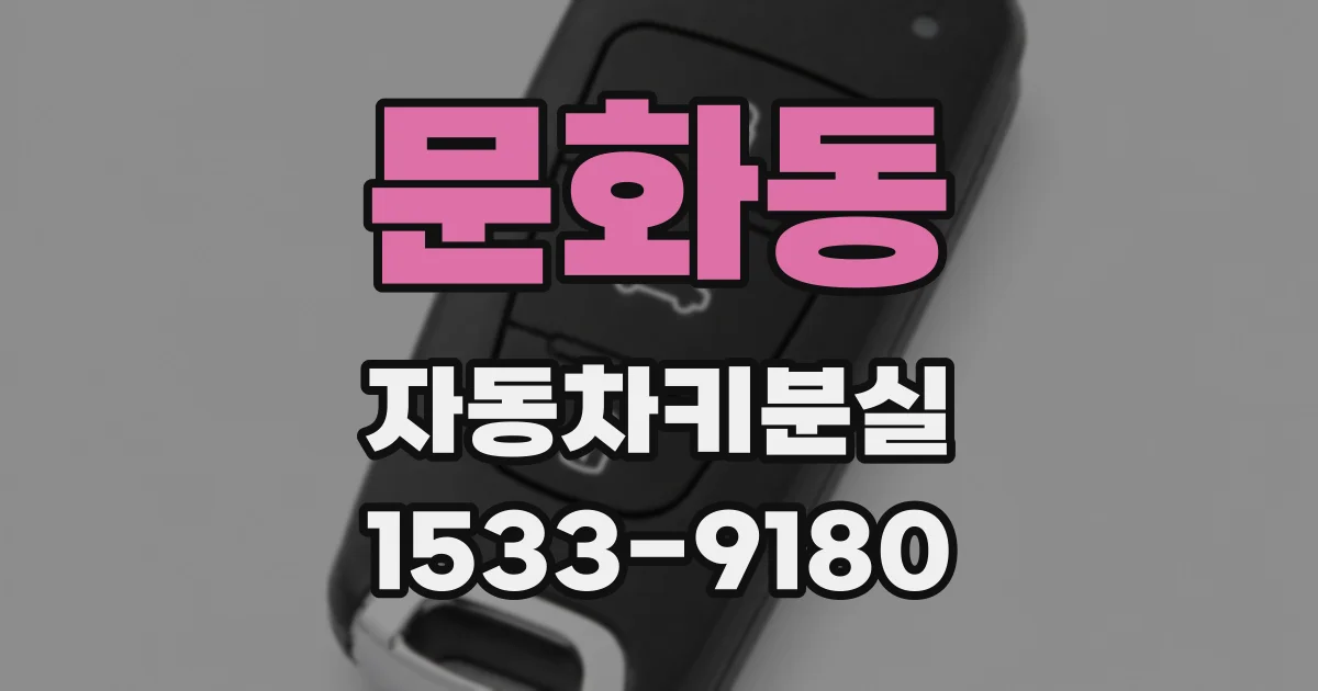 문화동 자동차키분실