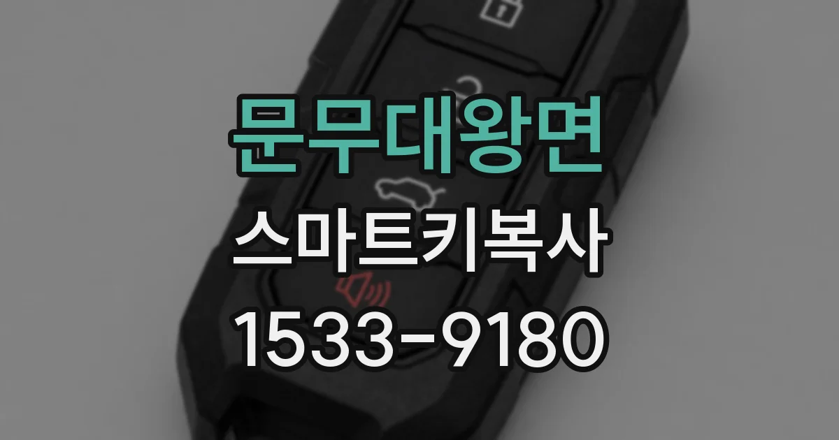 문무대왕면 스마트키복사