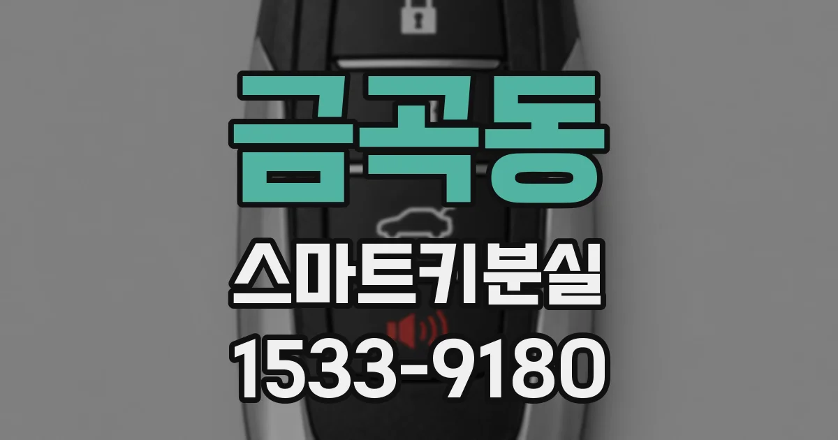 금곡동 스마트키분실
