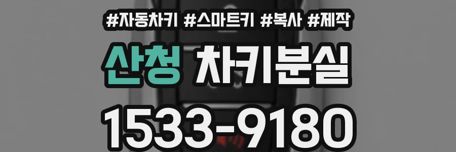 산청 차키분실