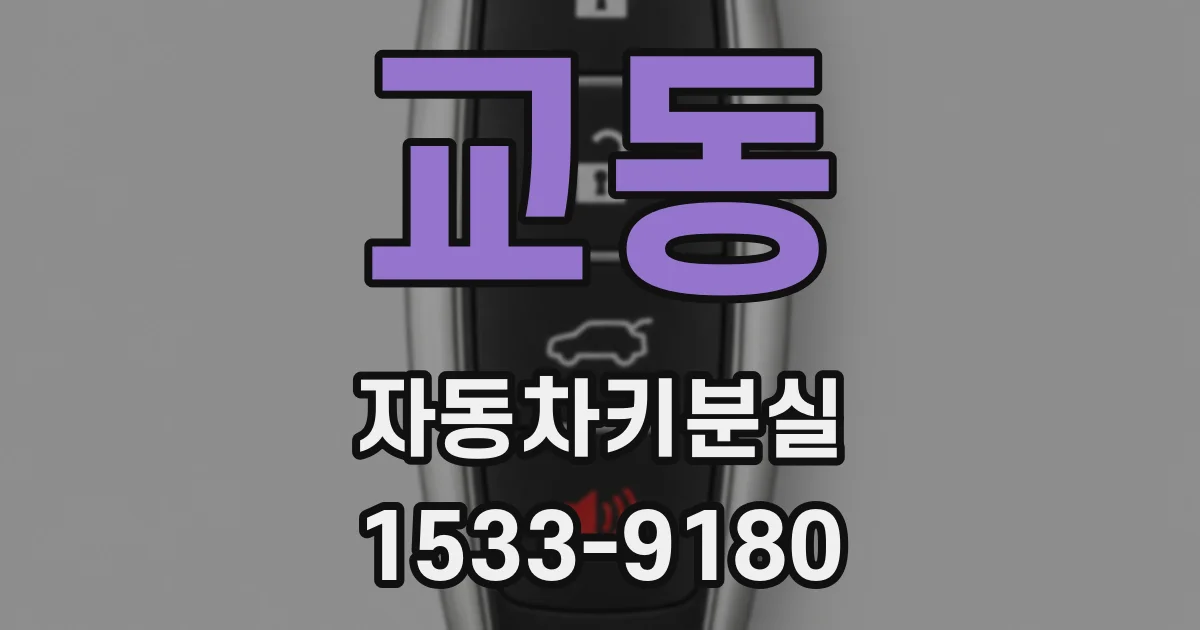 교동 자동차키분실