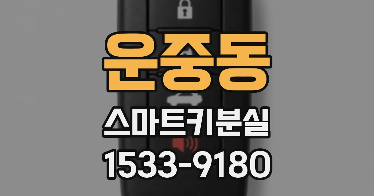 운중동 스마트키분실