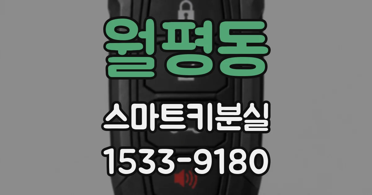 월평동 스마트키분실