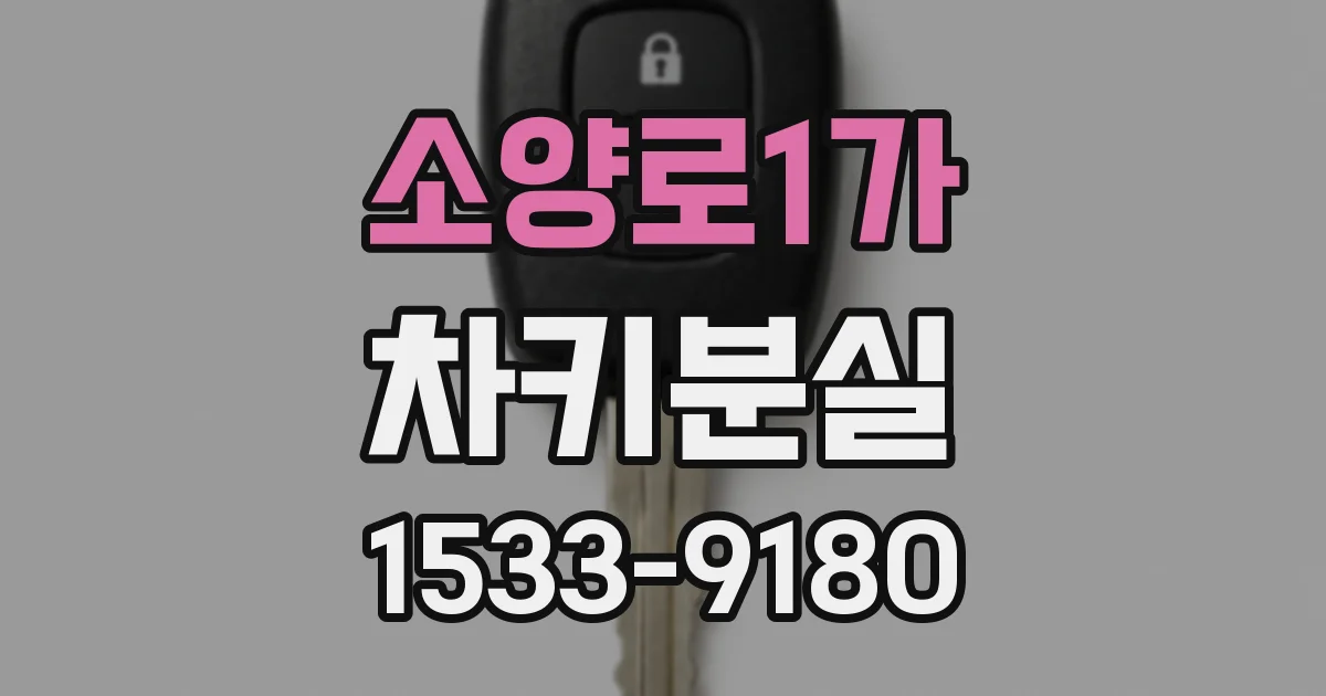 소양로1가 차키분실