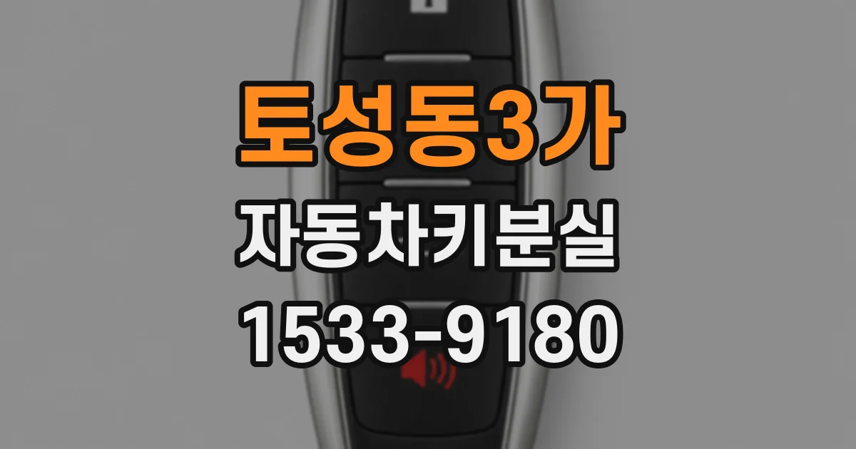 토성동3가 자동차키분실