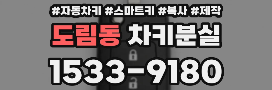 도림동 차키분실