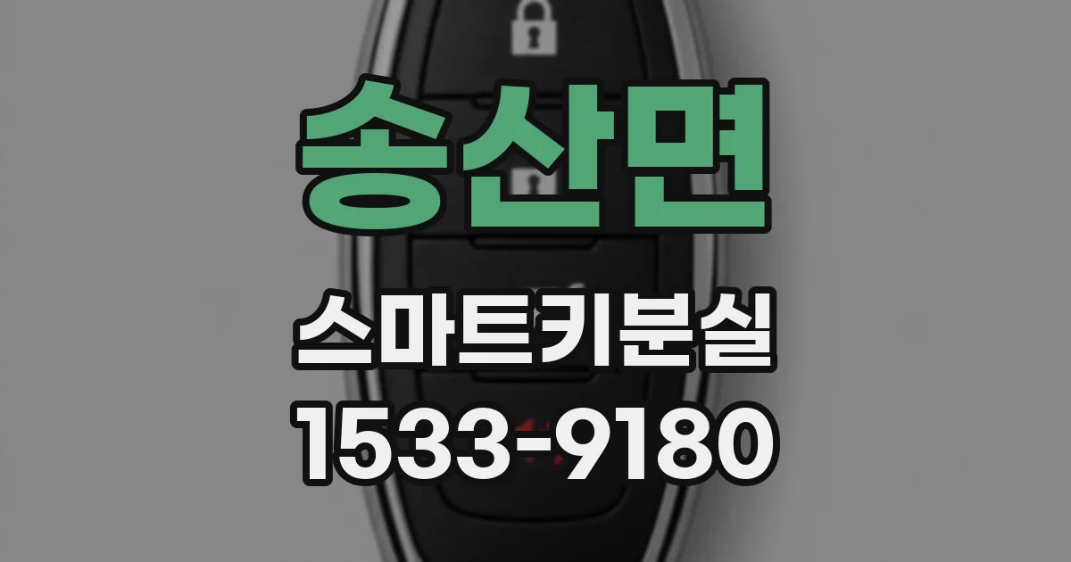 송산면 스마트키분실