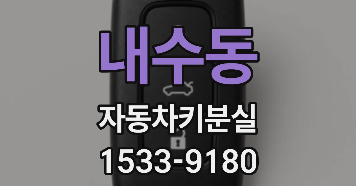 내수동 자동차키분실