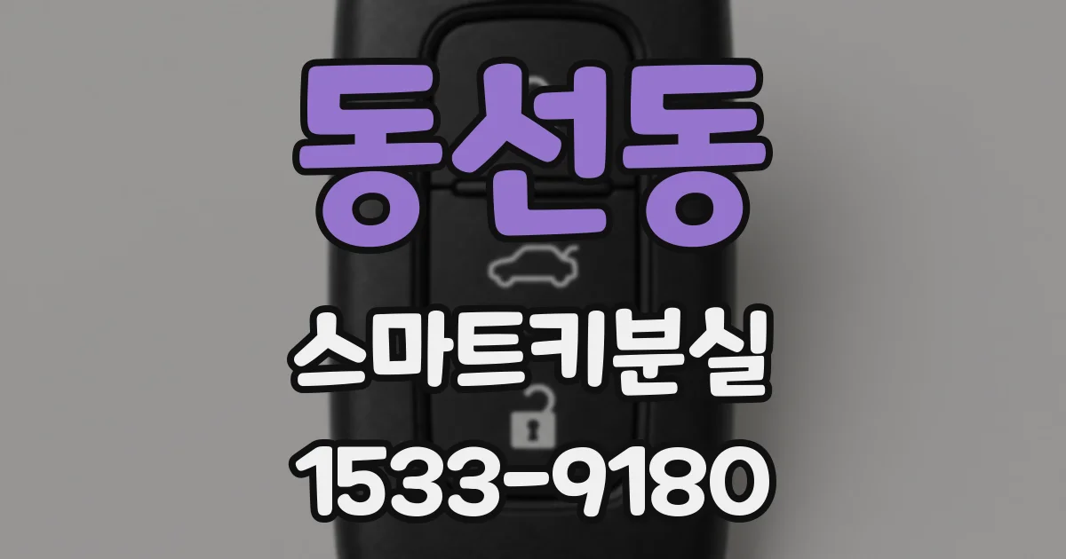동선동 스마트키분실