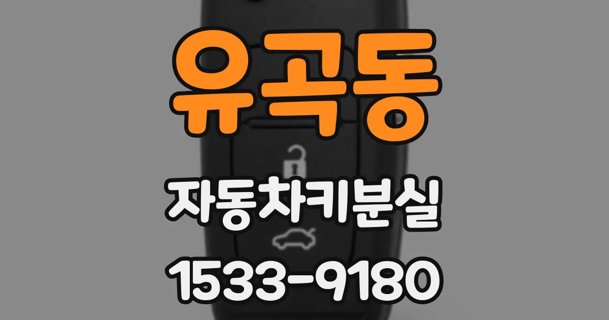 유곡동 자동차키분실
