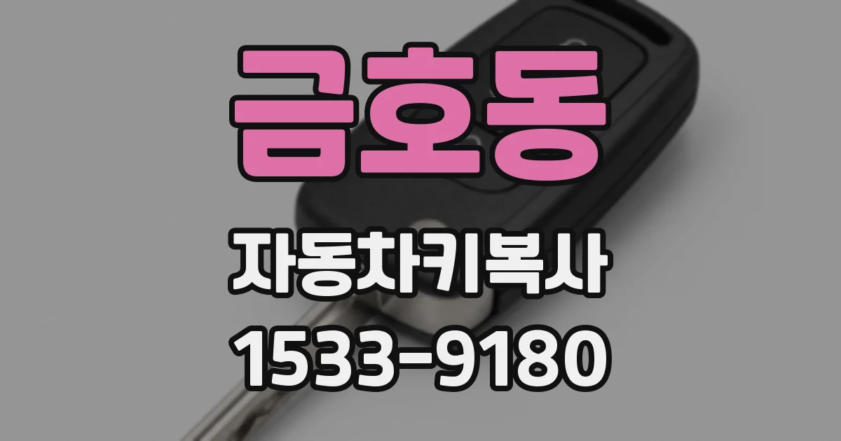 금호동 자동차키복사