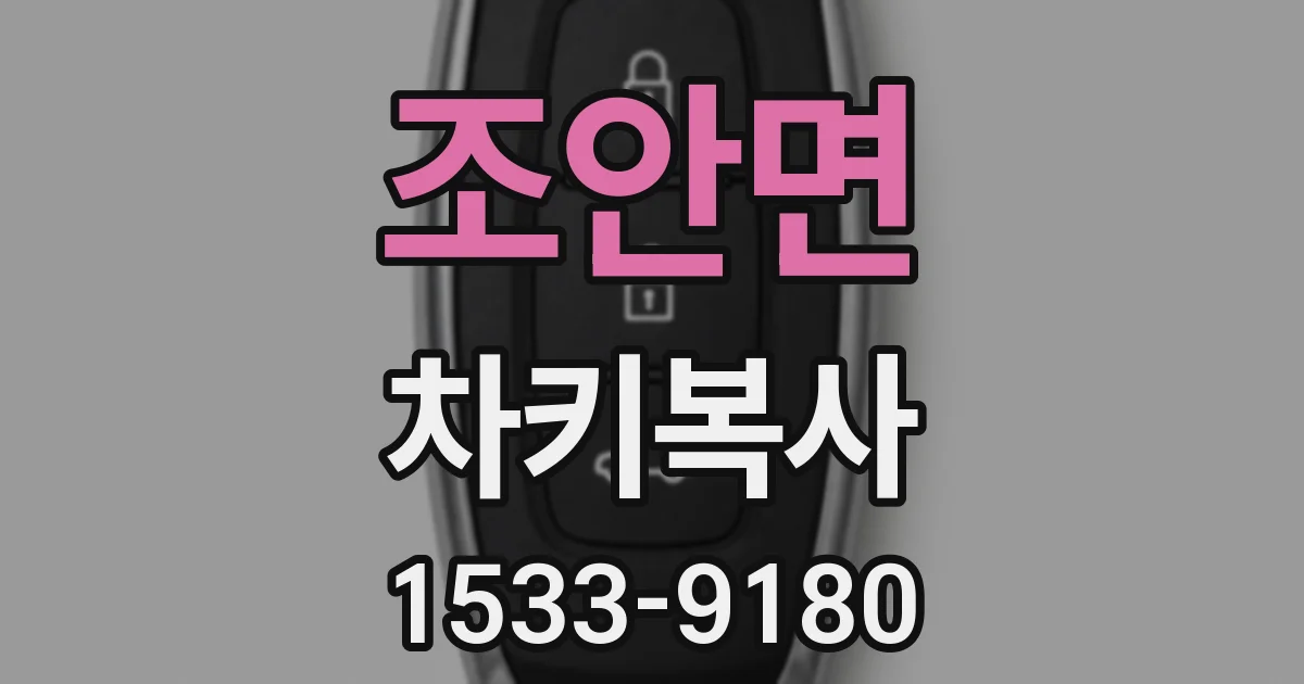 조안면 차키복사