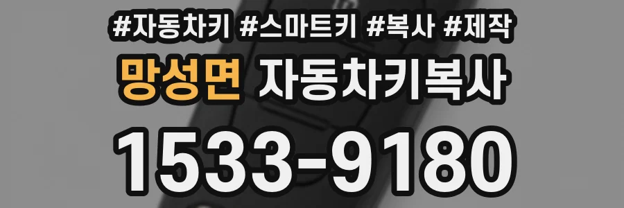 망성면 자동차키복사
