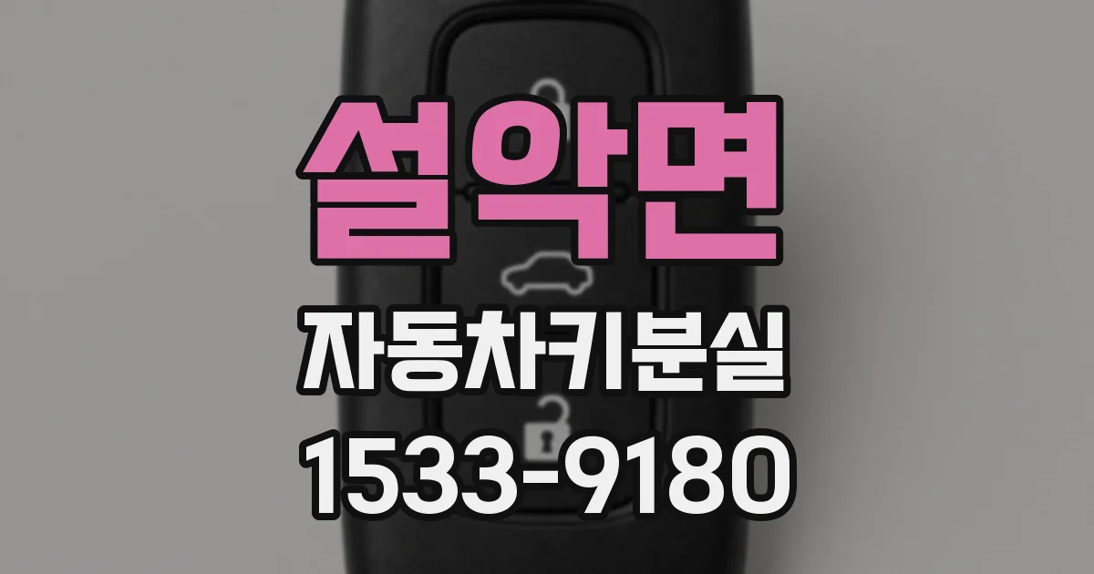 설악면 자동차키분실