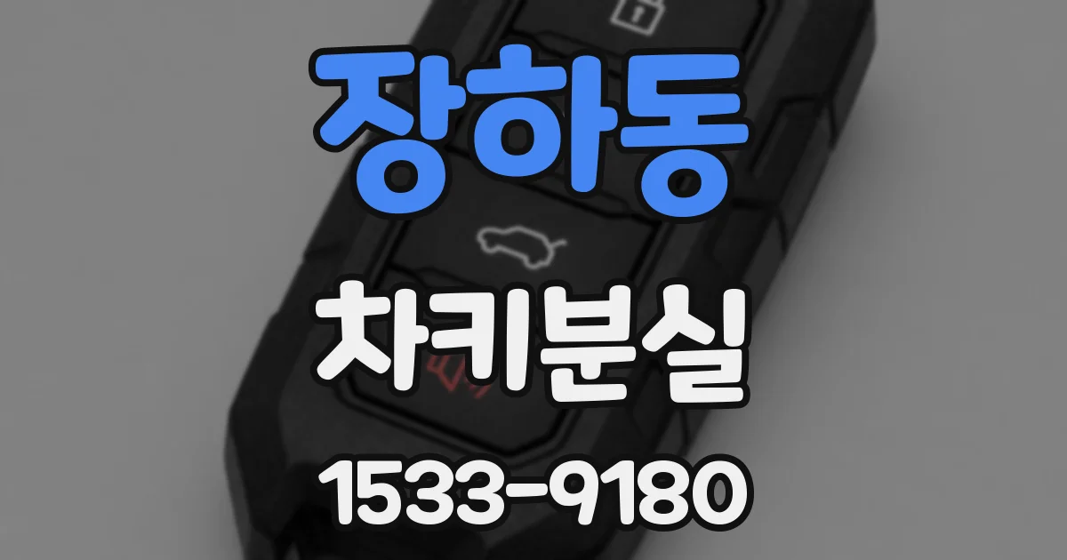 장하동 차키분실