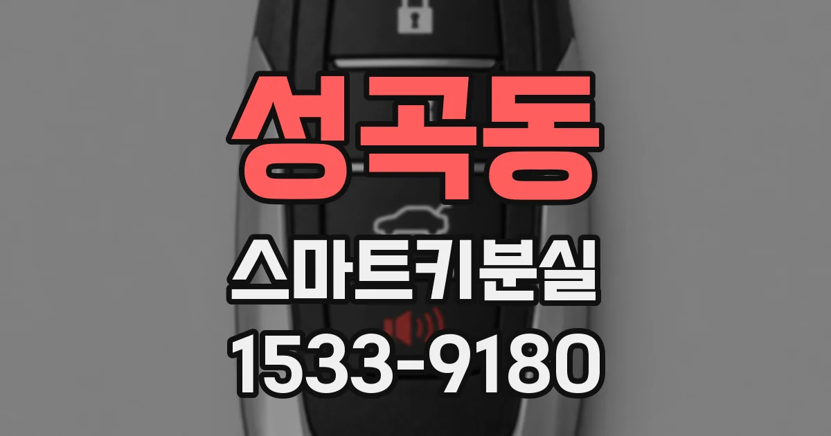 성곡동 스마트키분실