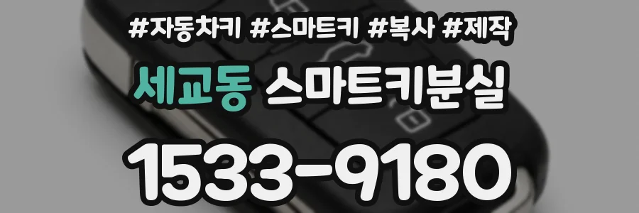 세교동 스마트키분실