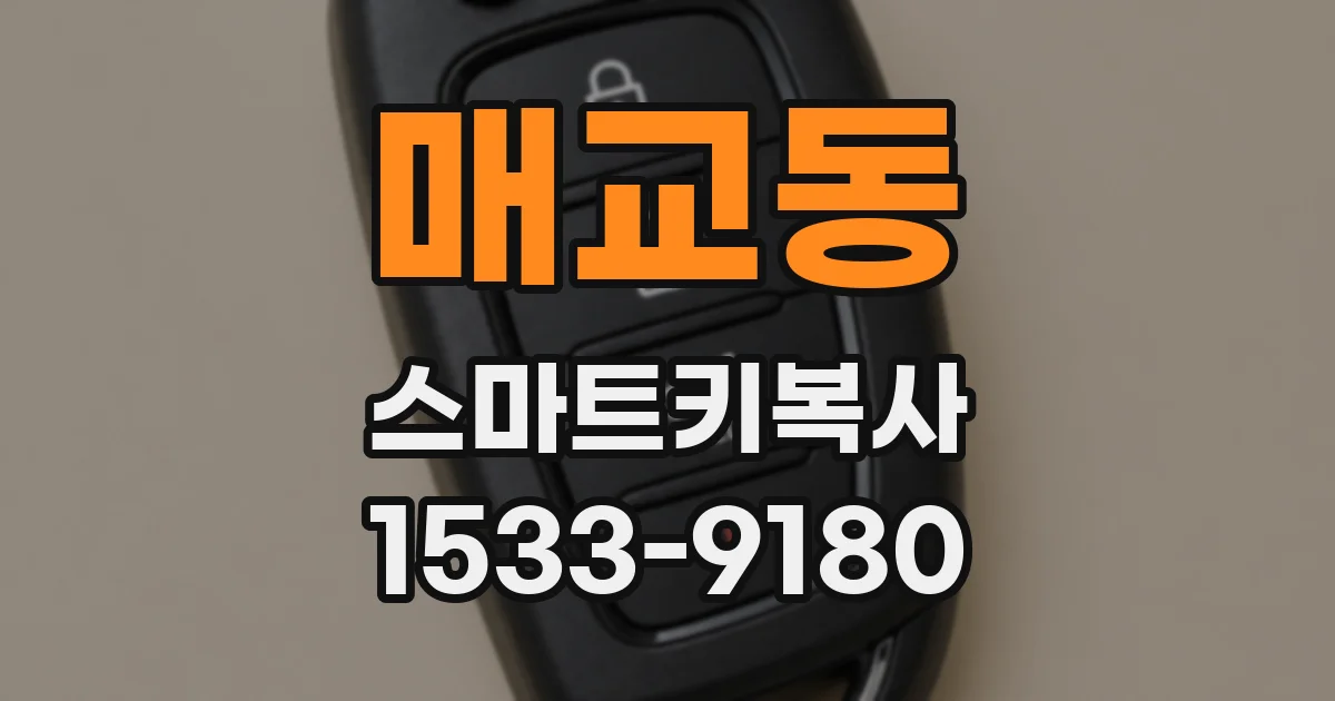 매교동 스마트키복사