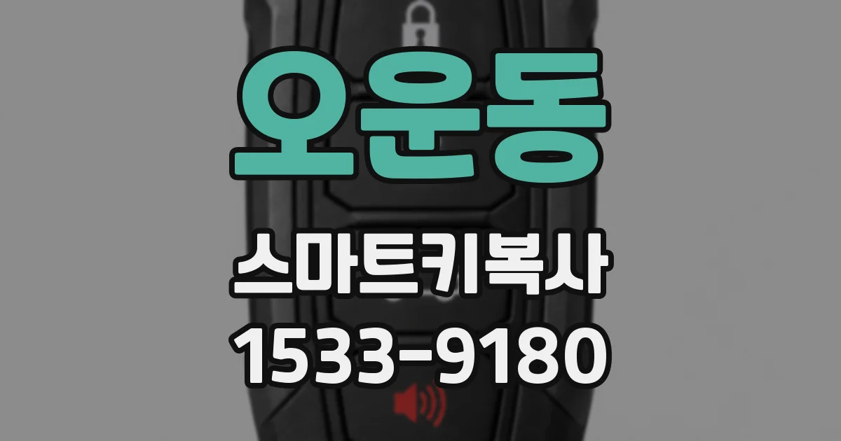 오운동 스마트키복사