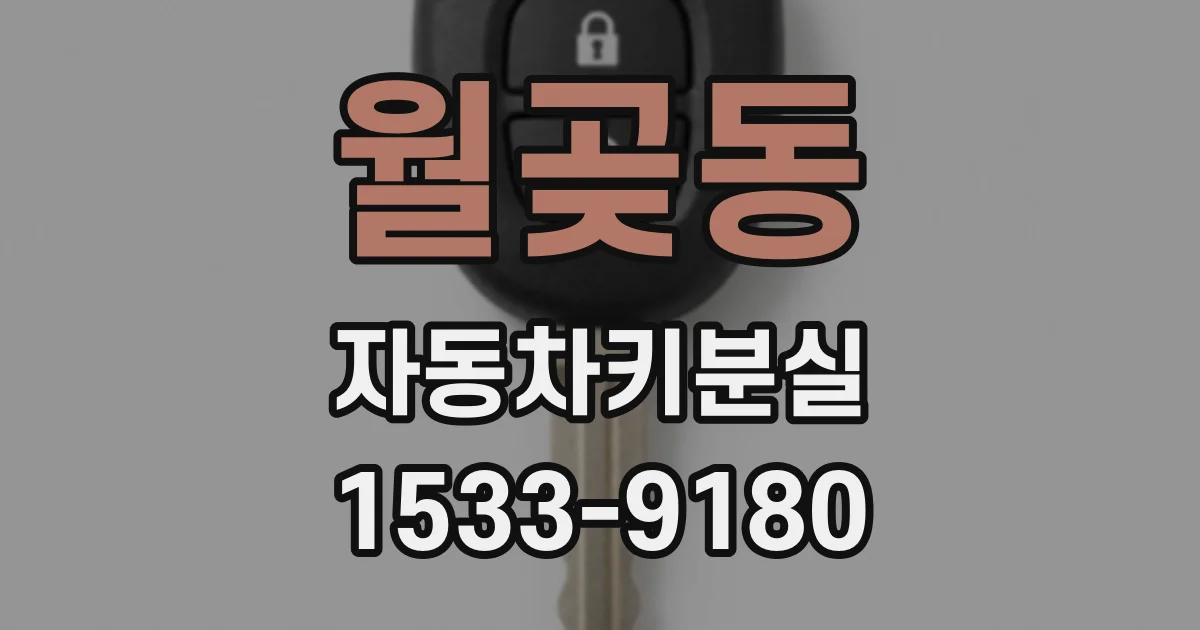 월곶동 자동차키분실
