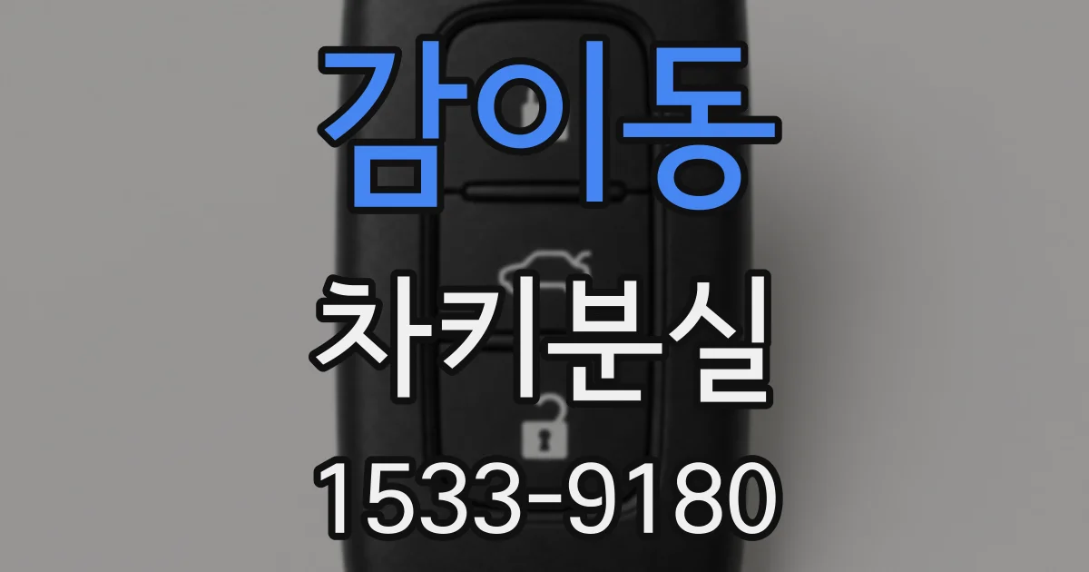 감이동 차키분실