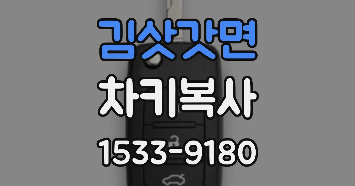 김삿갓면 차키복사