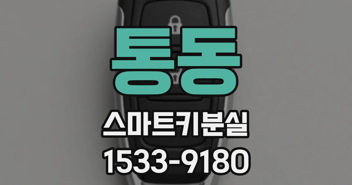 통동 스마트키분실