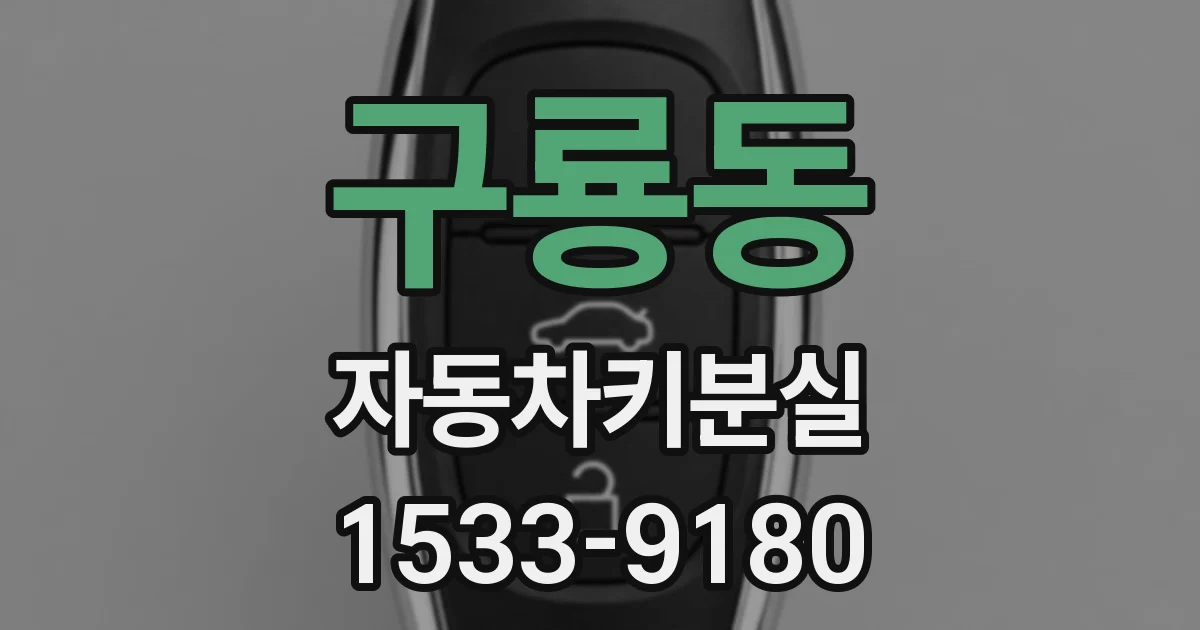 구룡동 자동차키분실