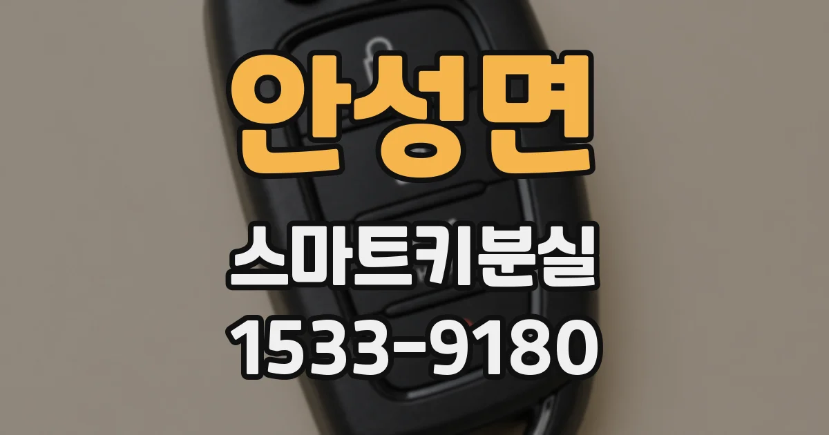 안성면 스마트키분실