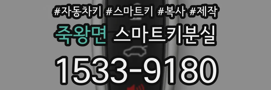 죽왕면 스마트키분실