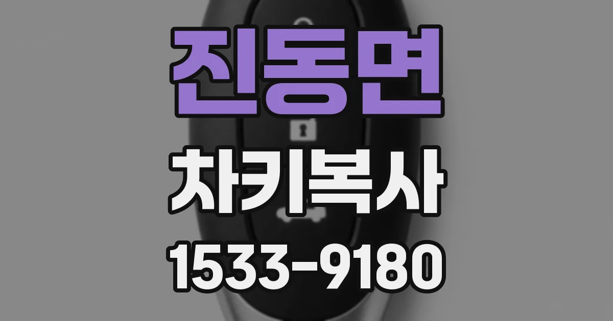 진동면 차키복사