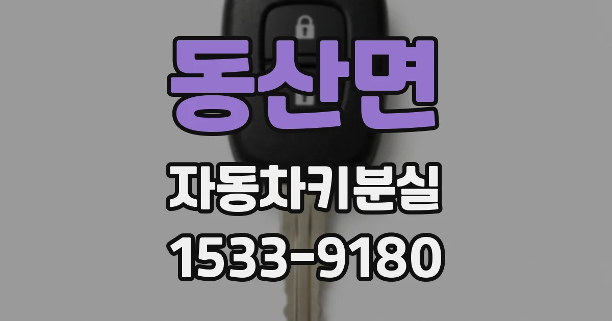 동산면 자동차키분실