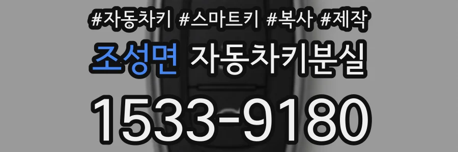 조성면 자동차키분실