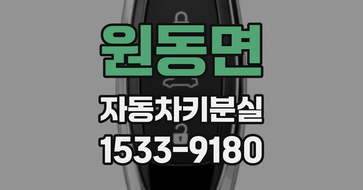 원동면 자동차키분실