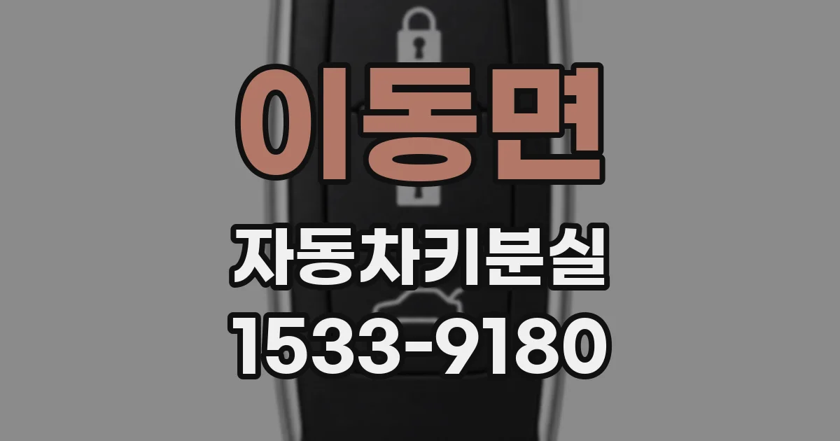 이동면 자동차키분실