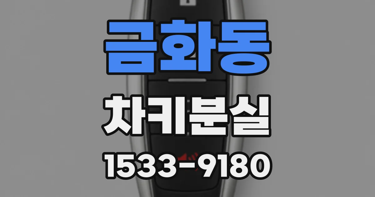 금화동 차키분실