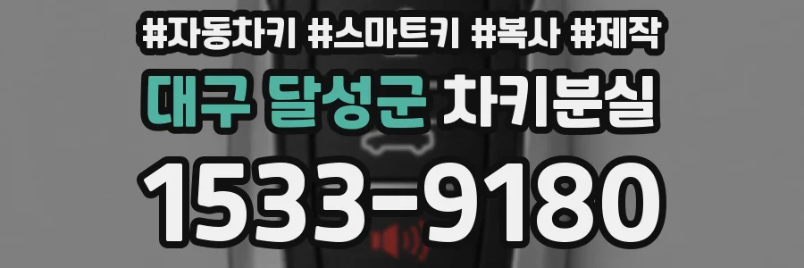대구 달성군 차키분실