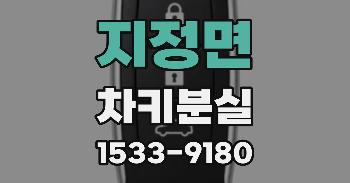 지정면 차키분실