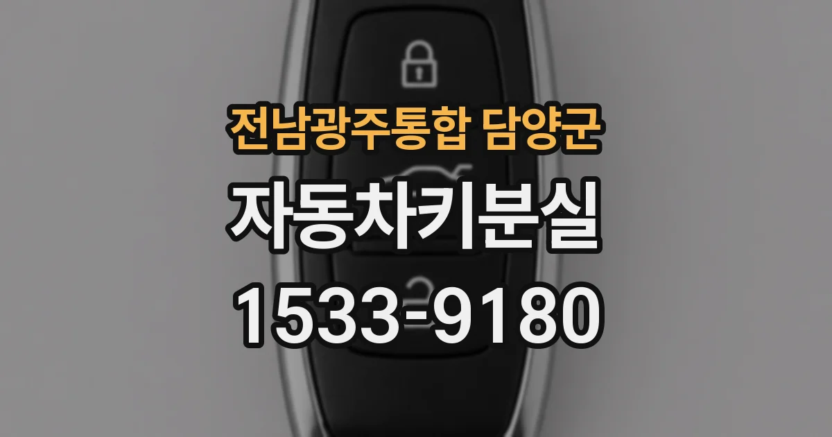 전남광주통합 담양군 자동차키분실