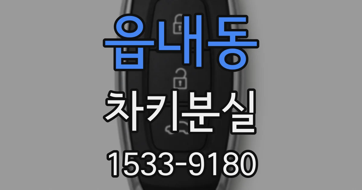 읍내동 차키분실