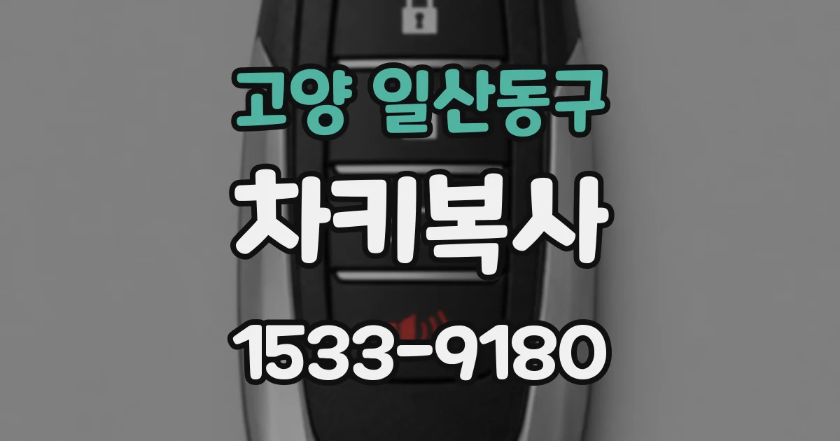 고양 일산동구 차키복사