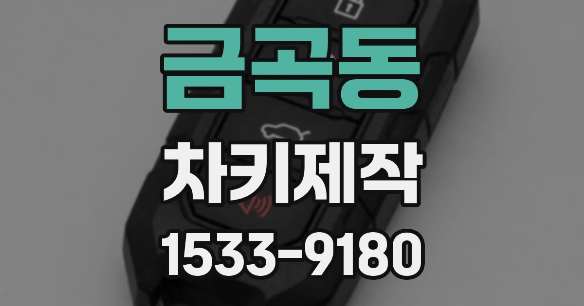 금곡동 차키제작